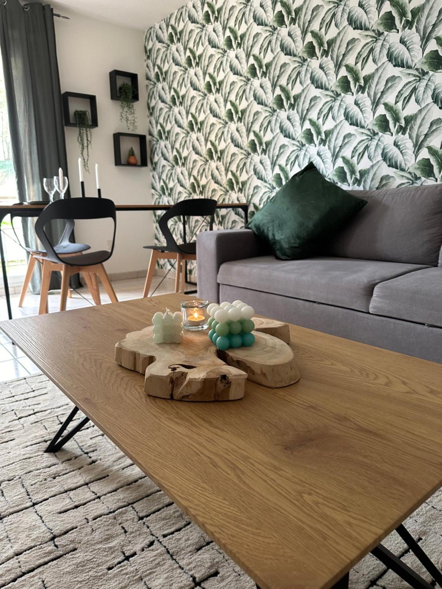 Appartement Entierement Renove รัว ภายนอก รูปภาพ