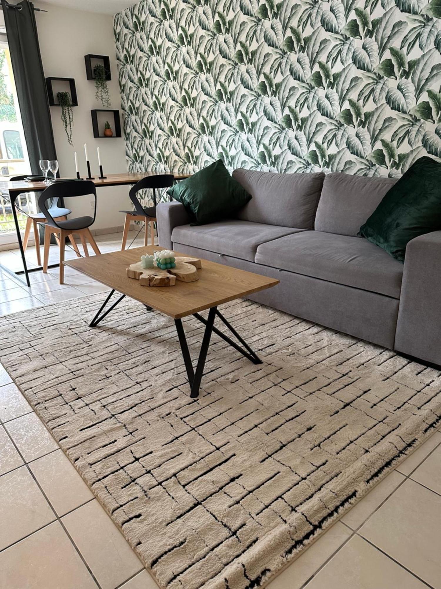 Appartement Entierement Renove รัว ภายนอก รูปภาพ